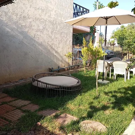 Lemontree House